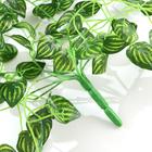 Лиана искусственная «Полосатые листья», 80 см - Фото 3