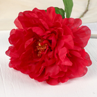 Цветы искусственные "Пион бархатный" 15х55 см, красный - фото 8546248