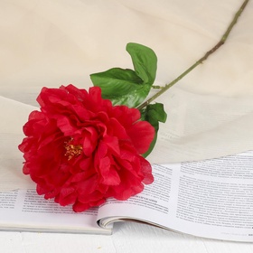 Цветы искусственные «Пион бархатный», 15?55 см, красные (комплект 2 шт)
