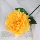 Цветы искусственные "Пион бархатный" 15х55 см, жёлтый - фото 317946927