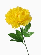 Цветы искусственные «Пион бархатный», 15×55 см, жёлтые - Фото 5