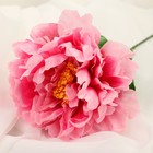 Цветы искусственные "Пион бархатный" 15х55 см, розовый - Фото 2