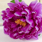 Цветы искусственные "Пион бархатный" 15х55 см, сиреневый - Фото 2