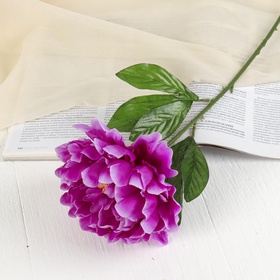 Цветы искусственные «Пион бархатный», 15?55 см, сиреневые (комплект 2 шт)