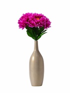 Цветы искусственные «Пион бархатный», 15×55 см, сиреневые 1662265