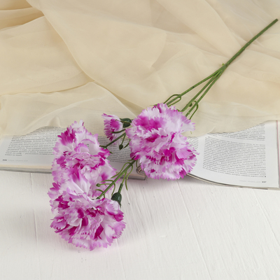 Цветы искусственные «Гвоздички», 8×67 см, бело-сиреневые
