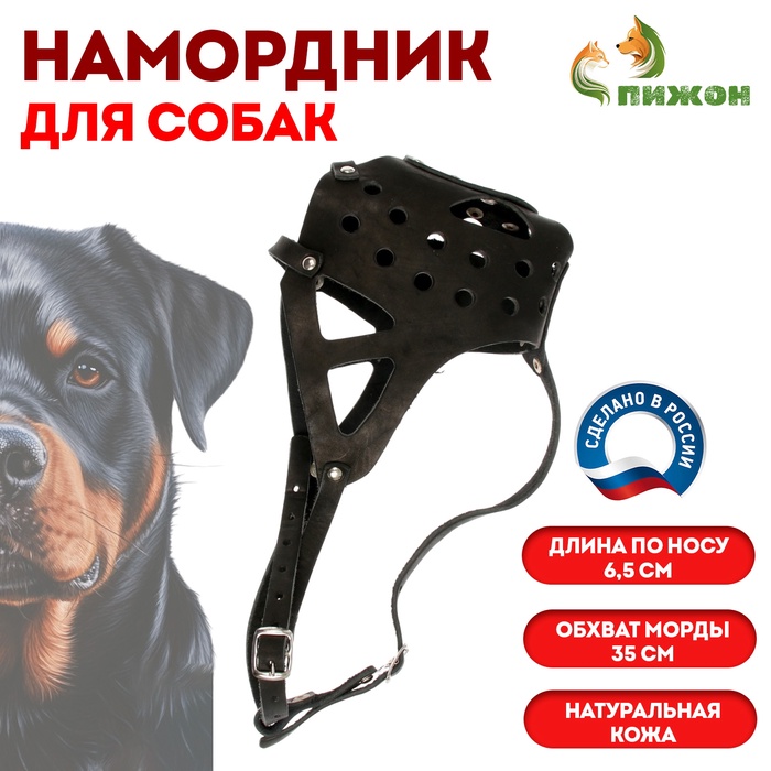 Намордник кожаный цельнокроенный, длина по носу 6.5 см, ОМ 35 см, ротвейлер, чёрный - Фото 1