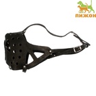 Намордник кожаный цельнокроенный, длина по носу 6.5 см, ОМ 35 см, ротвейлер, чёрный - Фото 2