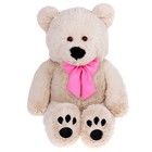 Мягкая игрушка "Медведь новый малый", цвета МИКС, 50 см - Фото 5