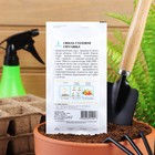 Семена Свекла "Смуглянка", 2 г - Фото 7