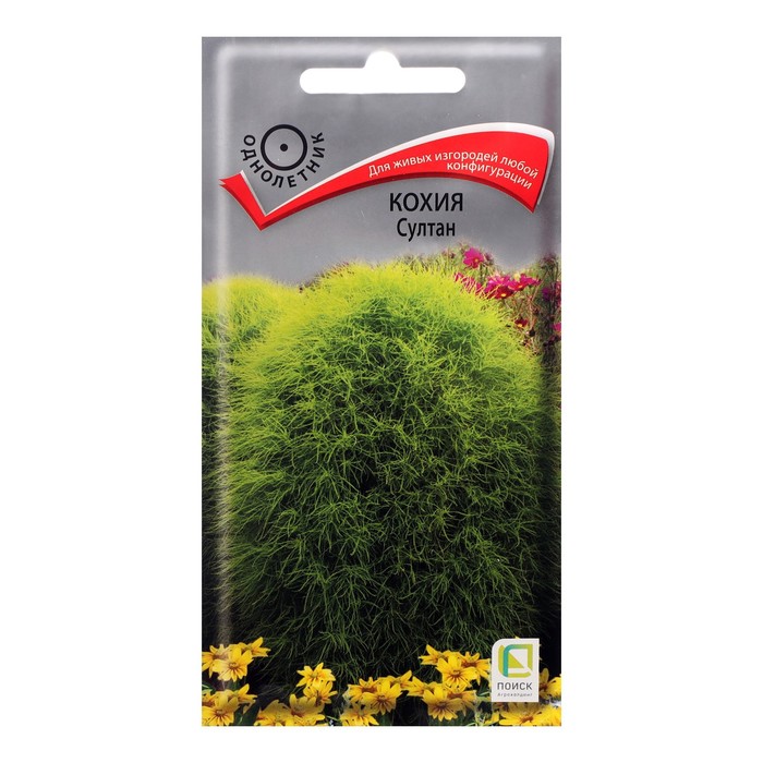 Семена цветов Кохия "Султан", О, 0,1гр - Фото 1