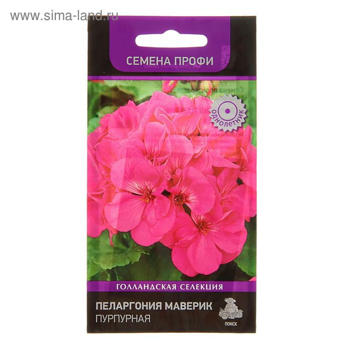 Где В Полоцке Можно Купить Семена Пеларгония