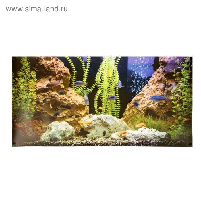 Фон для аквариумов №6 односторонний, 60х30см - Фото 1