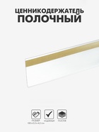 Ценникодержатель полочный самоклеящийся, DBR=39, 1000 мм, прозрачный - Фото 1