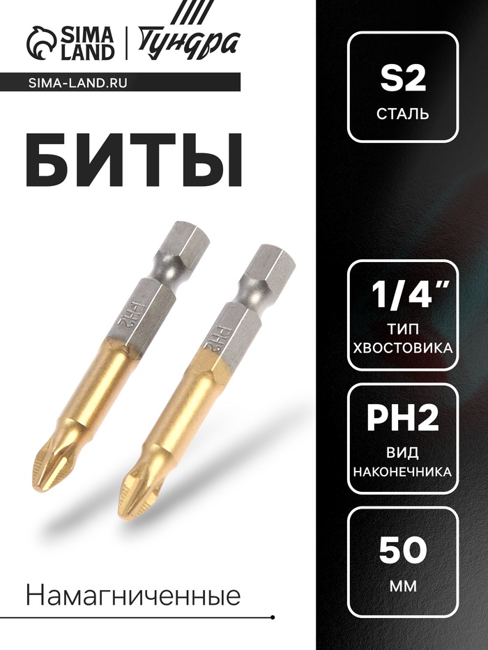 Биты ТУНДРА, намагниченные, сталь S2, 58-60 HRC, TiN, PH2 х 50 мм, 2 шт. - Фото 1
