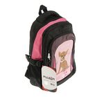 Рюкзак школьный эргономичная спинка для девочки Pulsar 8051-151, 38*25*20 «Собачка» чёрный/розовый 8051-152 - Фото 2