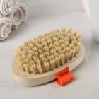 Щётка для сухого массажа, с ремешком МИКС, натуральная щетина - Фото 3