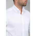 Рубашка мужская William Hurd WH-152171-SL39, normal fit, размер 42 - Фото 3