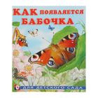 ДДС. Для детского сада. Как появляется бабочка - Фото 1