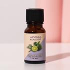 Эфирное масло «Бергамот», 10 мл, «Богатство Аромата» - Фото 2