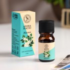 Эфирное масло «Жасмин», 5 мл, «Богатство Аромата» - Фото 1