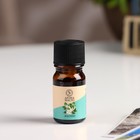 Эфирное масло «Жасмин», 5 мл, «Богатство Аромата» - Фото 2