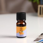 Эфирное масло «Апельсин», 5 мл, «Богатство Аромата» - Фото 2