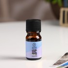 Эфирное масло «Лаванда», 5 мл, «Богатство Аромата» - Фото 2