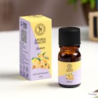 Эфирное масло «Лимон», 5 мл, «Богатство Аромата» - Фото 1