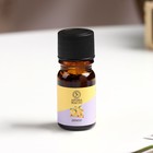 Эфирное масло «Лимон», 5 мл, «Богатство Аромата» - Фото 2