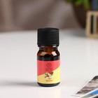 Эфирное масло «Яблоко», 5 мл, «Богатство Аромата» - Фото 2