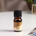 Эфирное масло «Ваниль», 5 мл, «Богатство Аромата» - Фото 2