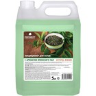 Кондиционер для белья Crystal Rinser «Японский чай», концентрат, 5 л - Фото 1