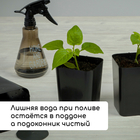 Набор для рассады: стаканы по 500 мл (10 шт.), поддон 40×19.5 см, МИКС, Greengo - Фото 6