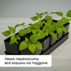 Набор для рассады: стаканы по 500 мл (10 шт.), поддон 40×19.5 см, МИКС, Greengo - Фото 7