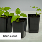 Набор для рассады: стаканы по 500 мл (10 шт.), поддон 40×19.5 см, МИКС, Greengo - Фото 8