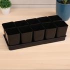 Набор для рассады: стаканы по 800 мл (10 шт.), поддон 45 × 18 см, чёрный, Greengo - Фото 1