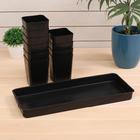 Набор для рассады: стаканы по 800 мл (10 шт.), поддон 45 × 18 см, чёрный, Greengo - Фото 2