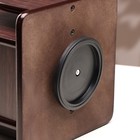 Органайзер 6 секций, серия Зебрано с кантом темным, вращение 15×18 см - Фото 5