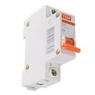 Выключатель автоматический TDM ВА47-63, 1п, 20 А, 4.5 кА - Фото 3