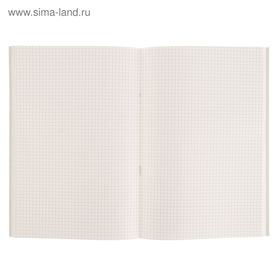 Книга учёта А4, 96 листов, клетка, обложка картон, офсет