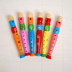 Музыкальная игрушка «Дудочка средняя», цвета МИКС - фото 3450134