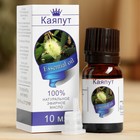 Эфирное масло "Каяпут", флакон-капельница, аннотация, 10 мл - Фото 1
