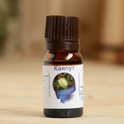 Эфирное масло "Каяпут", флакон-капельница, аннотация, 10 мл - Фото 2