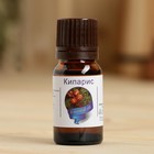 Эфирное масло «Кипарис», флакон-капельница, аннотация, 10 мл - Фото 2