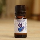 Эфирное масло «Лаванда», флакон-капельница, аннотация, 10 мл - Фото 2