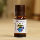 Эфирное масло «Мелисса», флакон-капельница, аннотация, 10 мл - Фото 2