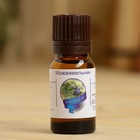 Эфирное масло «Можжевельник», флакон-капельница, аннотация, 10 мл, дезинфицирующее - Фото 2