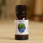 Эфирное масло «Мята», флакон-капельница, аннотация, 10 мл - Фото 2