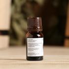 Эфирное масло "Петитгрейн", флакон-капельница, аннотация, 10 мл - Фото 3